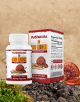 Thượng Phẩm Linh Chi Đỏ - VS Red Reishi