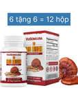 Thượng Phẩm Linh Chi Đỏ - VS Red Reishi