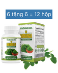 VS Moringa - Chùm Ngây