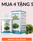 Tảo Nâu Vui Sống