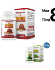 Thượng Phẩm Linh Chi Đỏ - VS Red Reishi