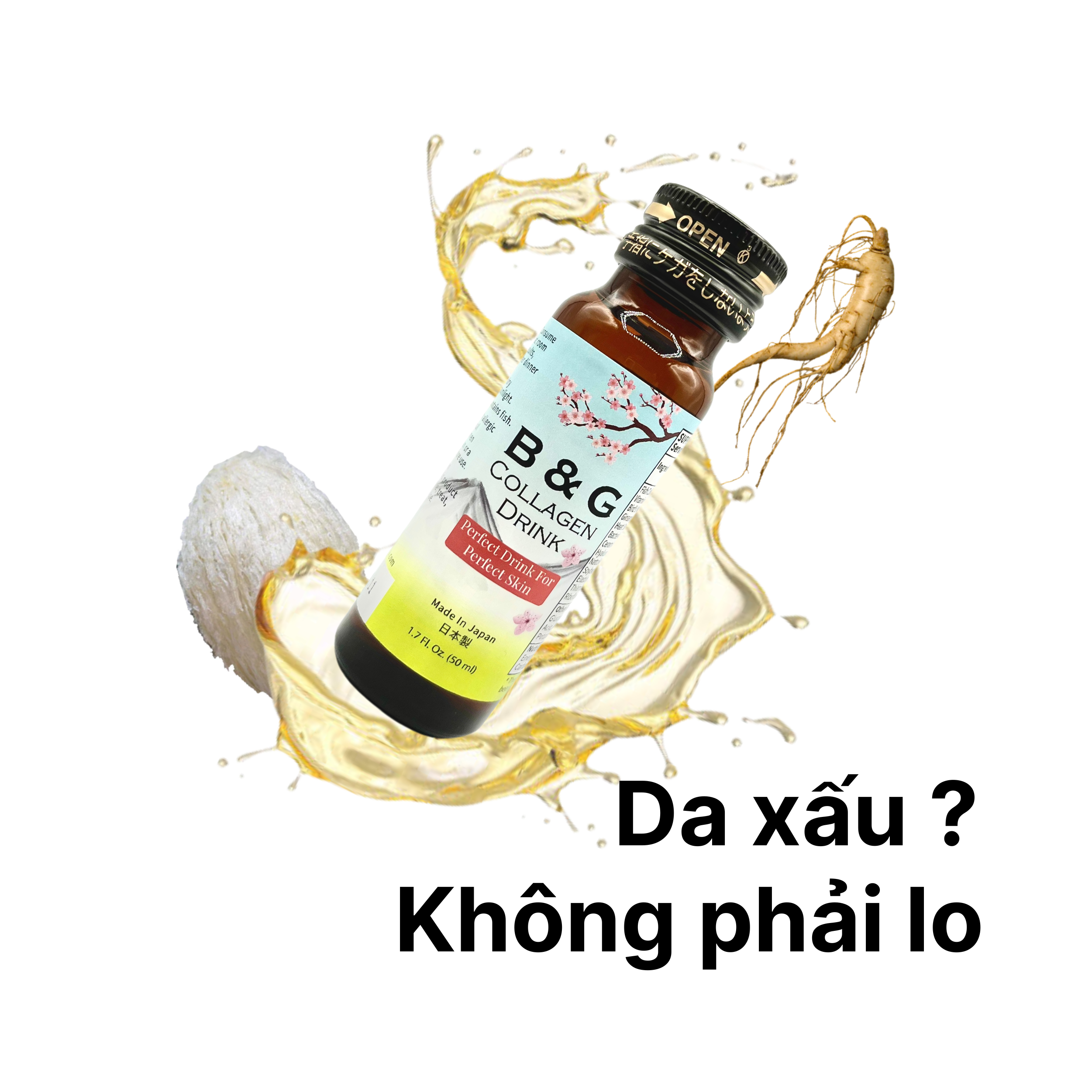 Tìm hiểu về Collagen Yến Sào Nhân Sâm (B&G collagen)