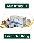 Đông Trùng Yến - VS Cordyceps Drink